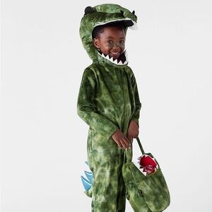 Pottery Barn Kids Green Dinosaur Costume